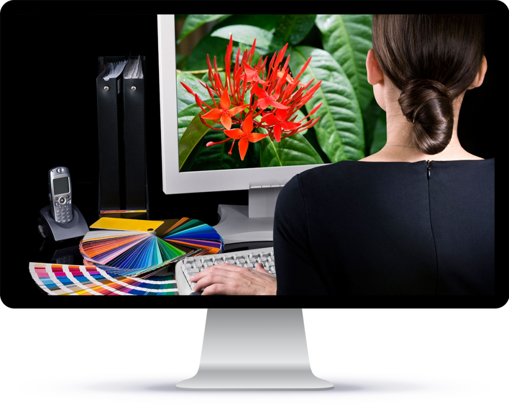 Profesyonel DTP hizmetleri