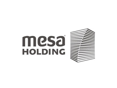 Mesa Holding