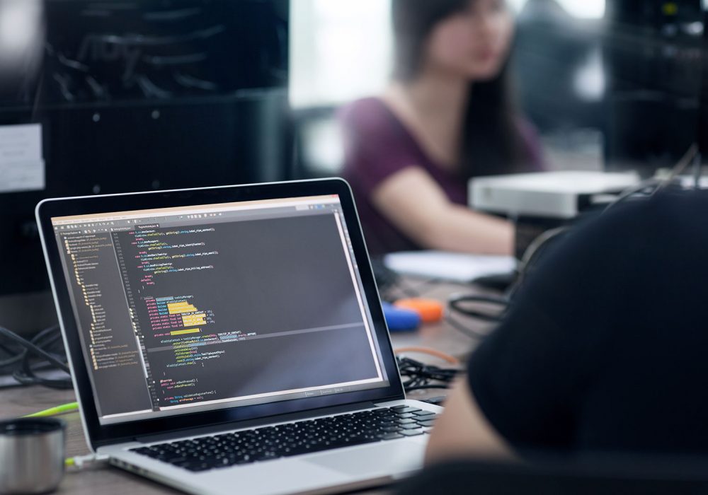 profesyonel tercümanlar