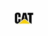 cat cat